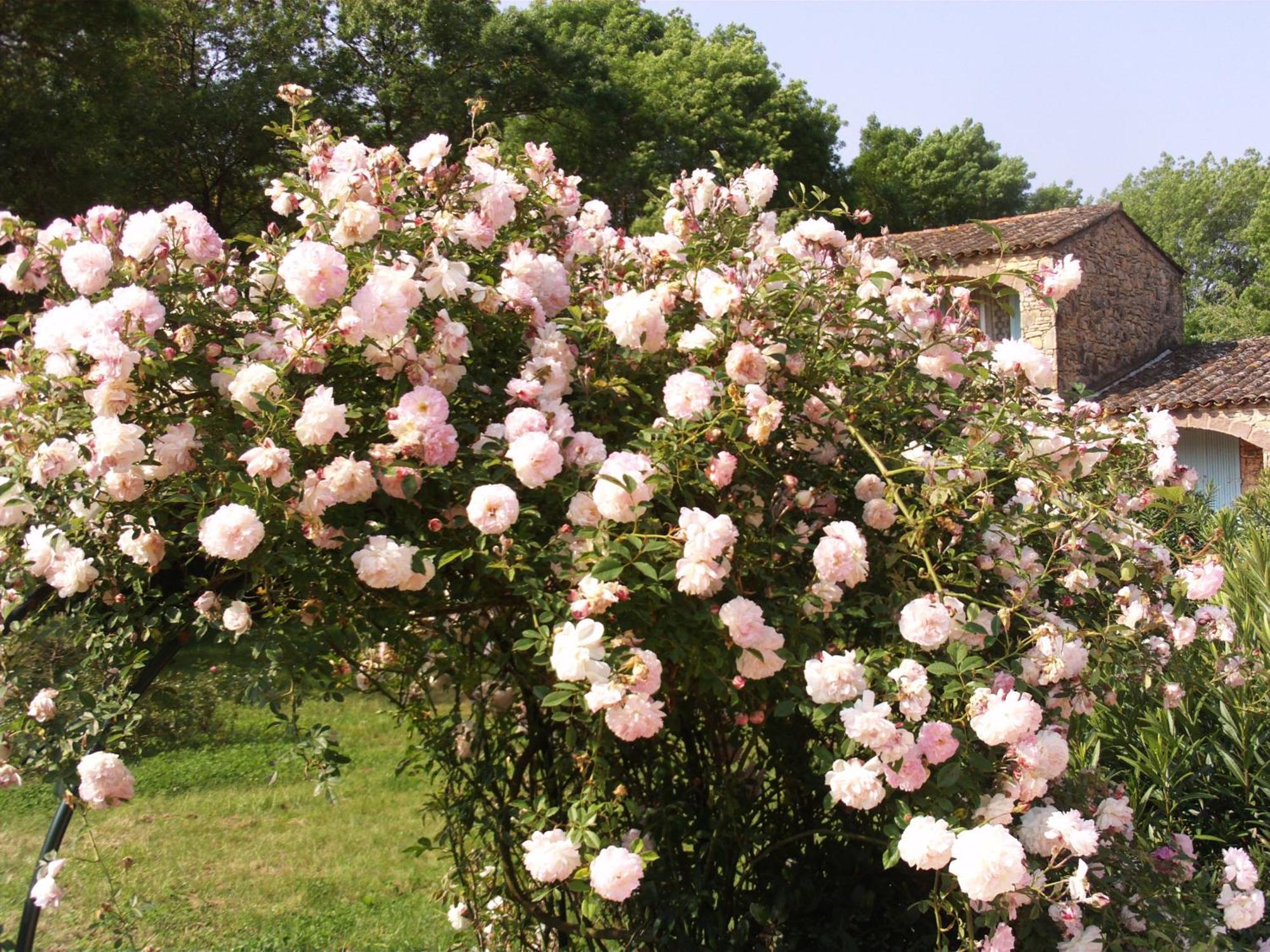 La Pierrerie Grimaud